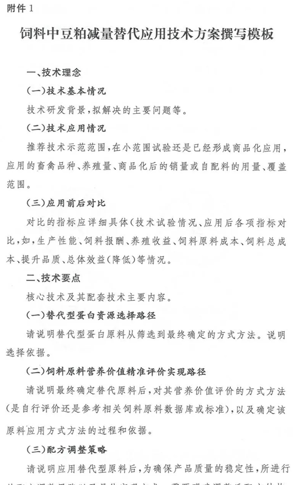 中国养猪网