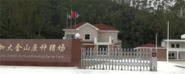 中国养猪网
