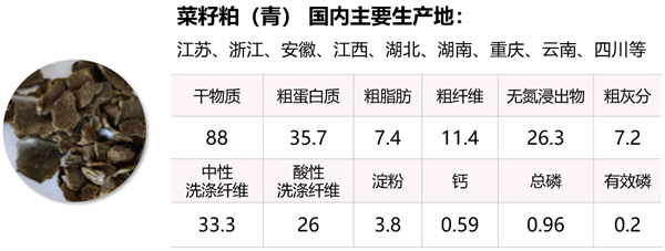 中国养猪网