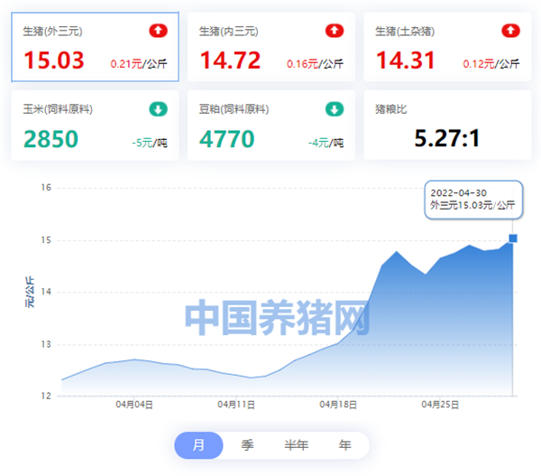 中国养猪网
