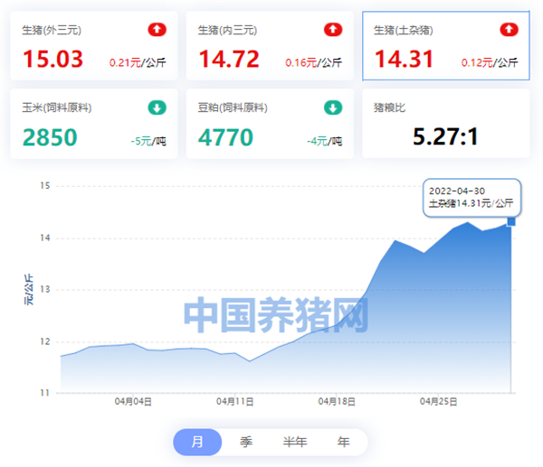 中国养猪网