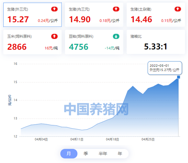 中国养猪网