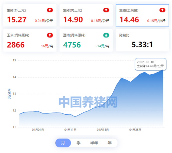 中国养猪网