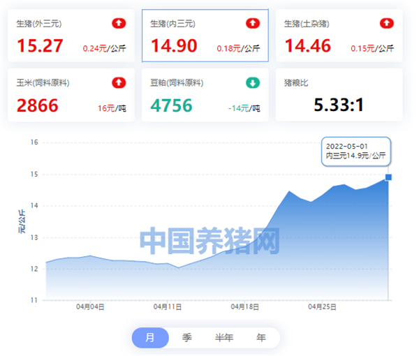 中国养猪网