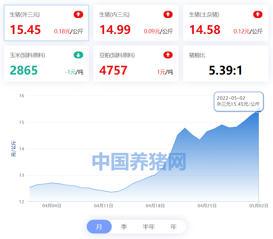 中国养猪网