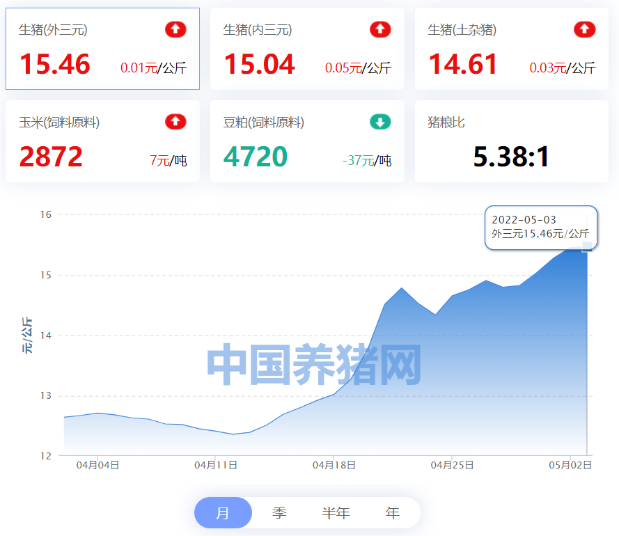 中国养猪网
