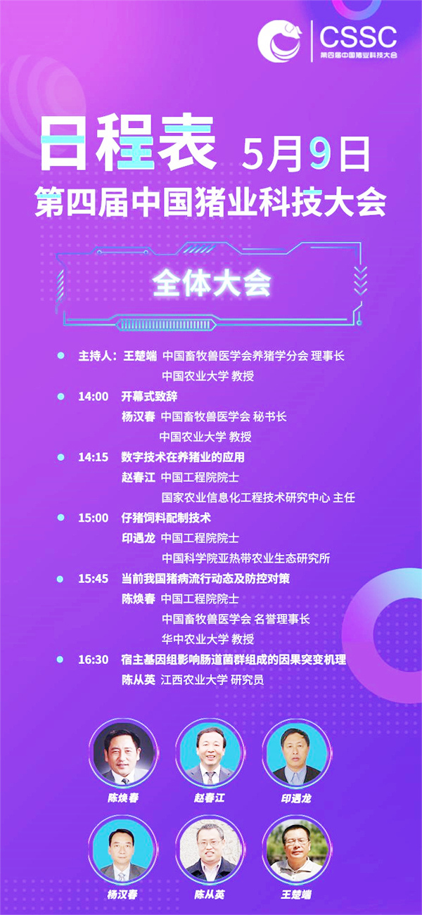 中国养猪网