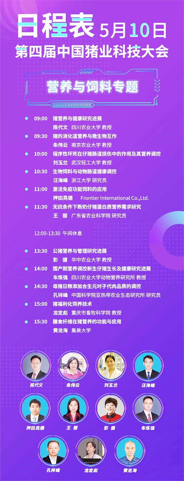 中国养猪网