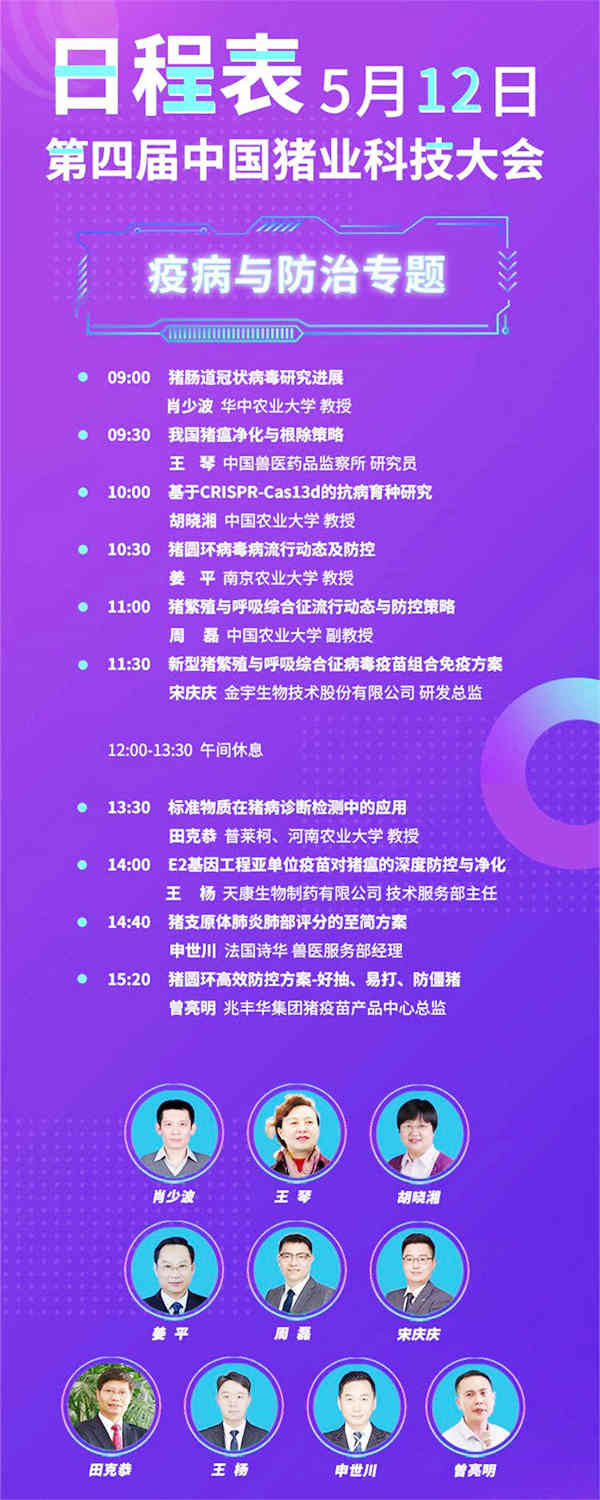 中国养猪网