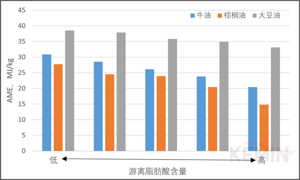 中国养猪网