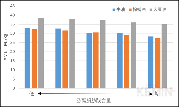 中国养猪网