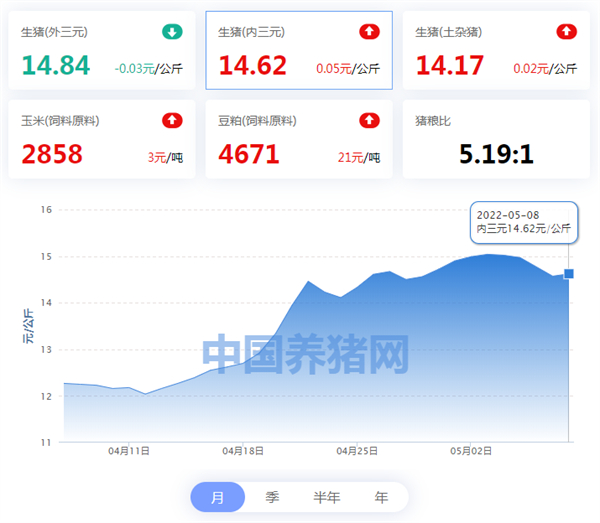 中国养猪网