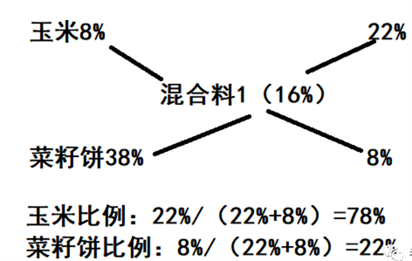 中国养猪网