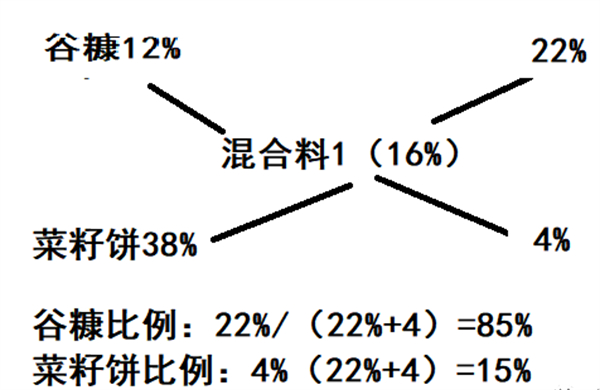 中国养猪网