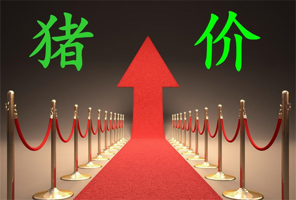  5月猪价如何演变？市场稳定在7元时代，会不会冲8？
