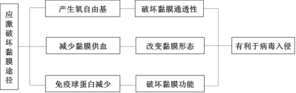 中国养猪网