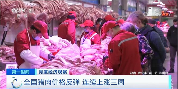 猪肉价格连续三周上涨！较近几年同期仍处于偏低水平！