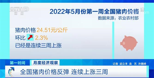 中国养猪网