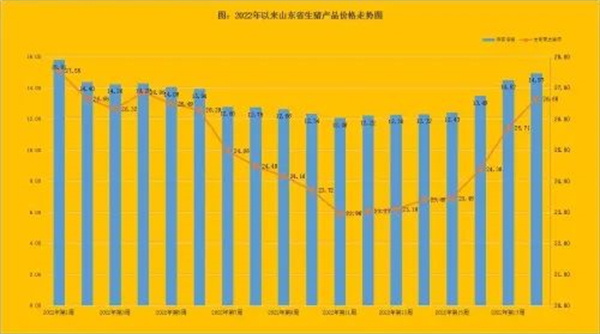 中国养猪网