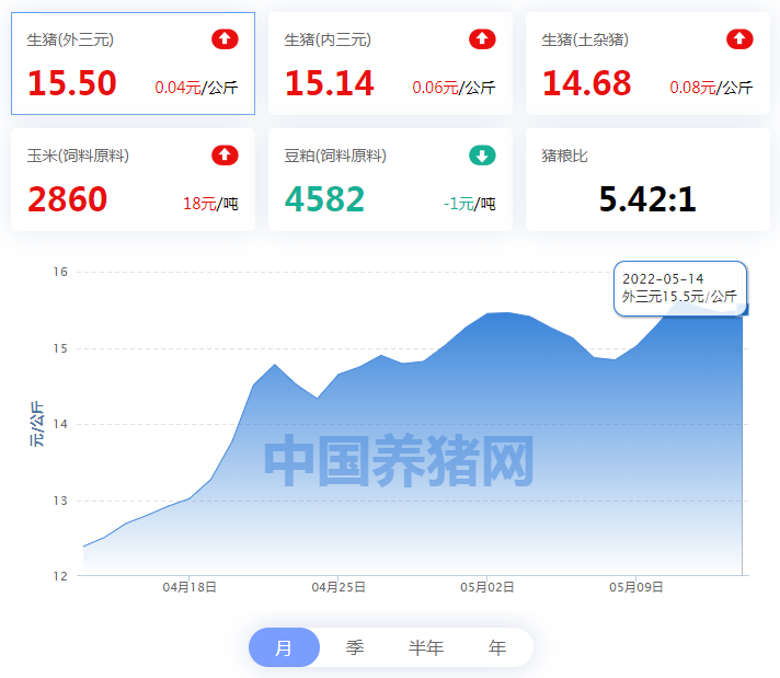 中国养猪网