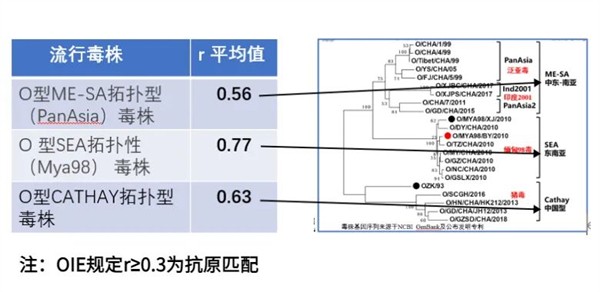 中国养猪网