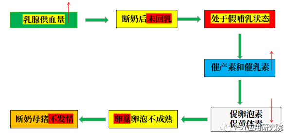 中国养猪网