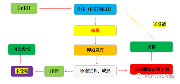 中国养猪网