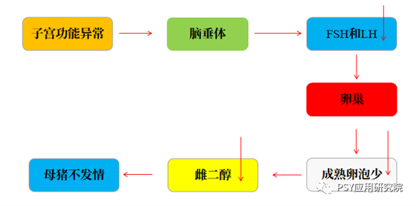 中国养猪网