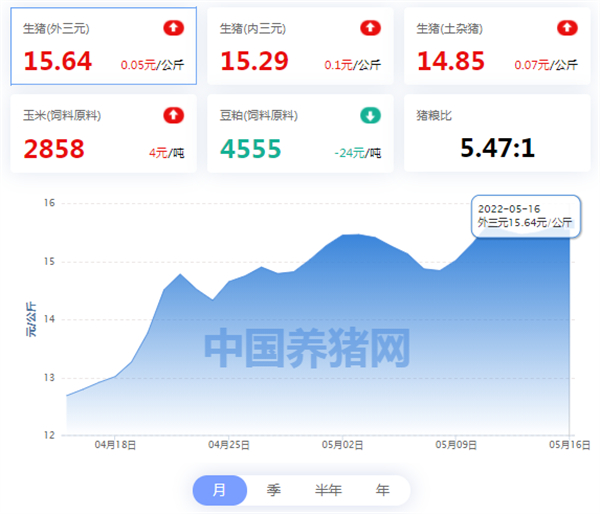 中国养猪网