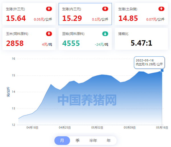 中国养猪网