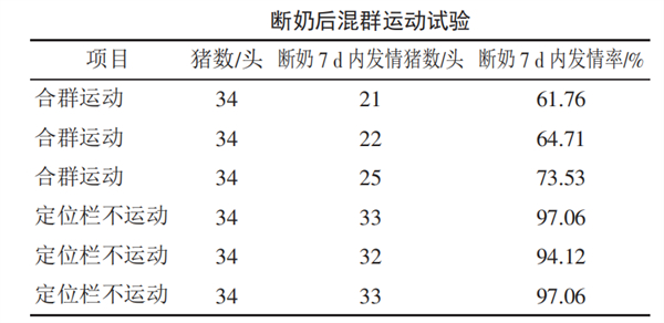 中国养猪网