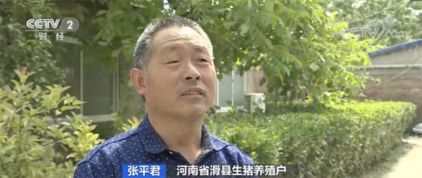 中国养猪网