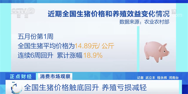 中国养猪网