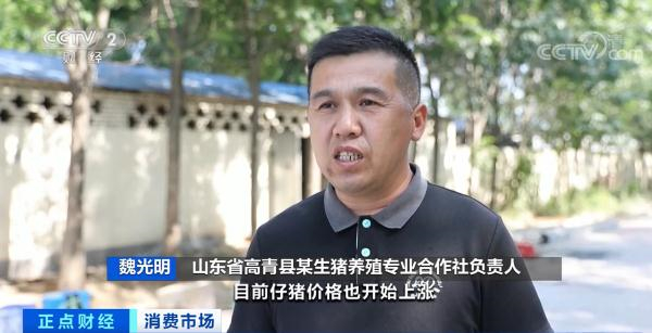 中国养猪网