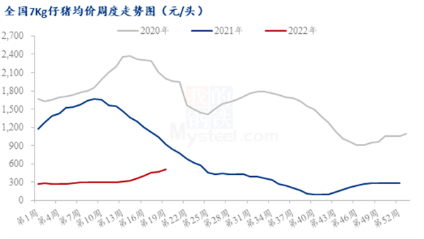 中国养猪网