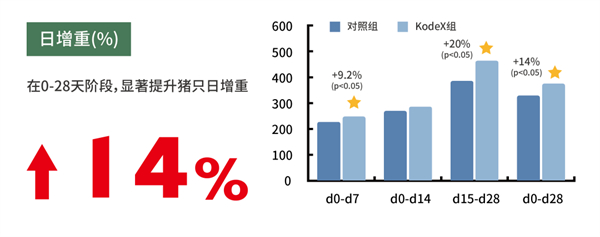 中国养猪网