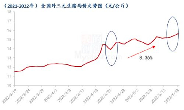 中国养猪网