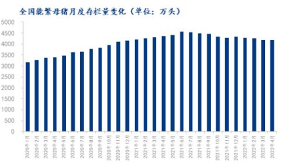 中国养猪网