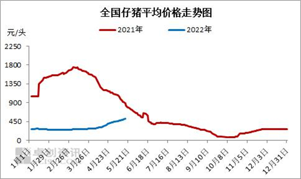 中国养猪网