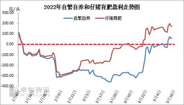 中国养猪网