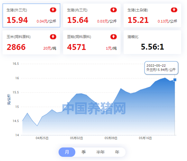 中国养猪网
