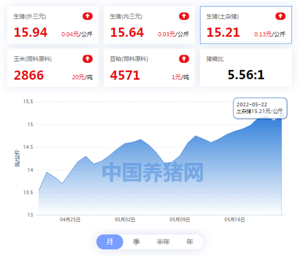 中国养猪网