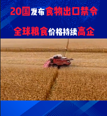 20国发布食物出口禁令！！全球粮食价格持续高企！！！