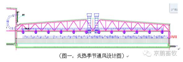 中国养猪网