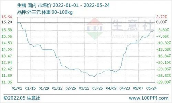 中国养猪网