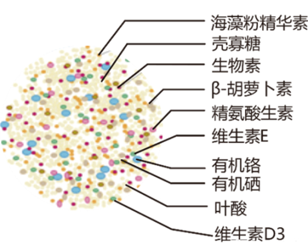 中国养猪网