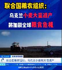 联合国粮农组织：乌克兰小麦将大量减产，进一步加剧了全球粮食危机