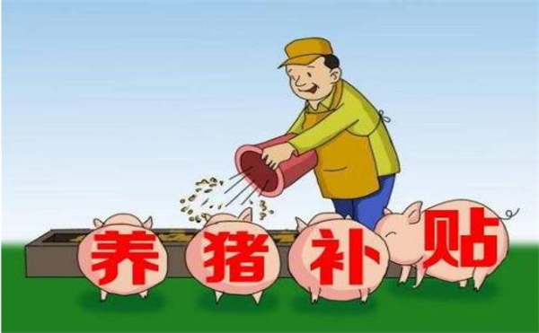 中国养猪网