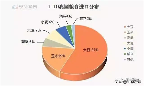 中国养猪网