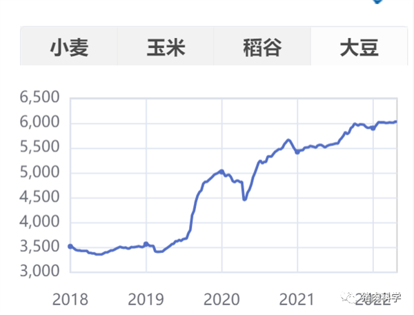 中国养猪网